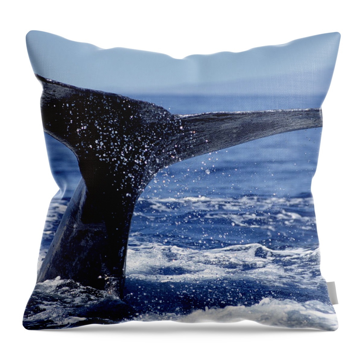 Feb0514 Throw Pillow featuring the photograph Humpback Whale Whale Tail Maui Hawaii by Flip Nicklin