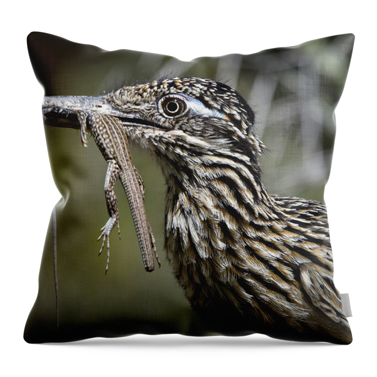 Greater Roadrunner Throw Pillow featuring the photograph Hungry Anyone?? by Saija Lehtonen
