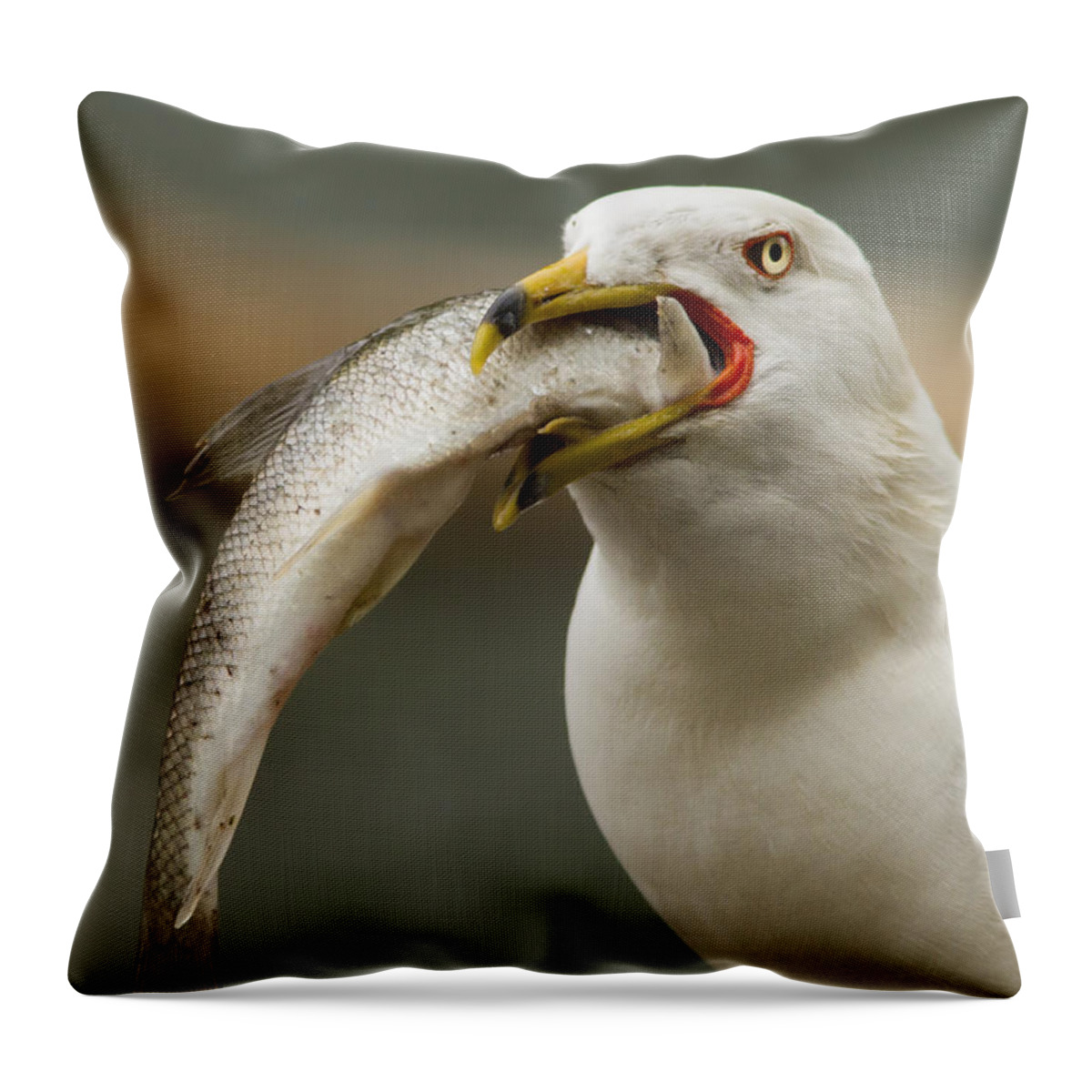 Ring-billed Throw Pillow featuring the photograph Hungry Bird by Mircea Costina Photography