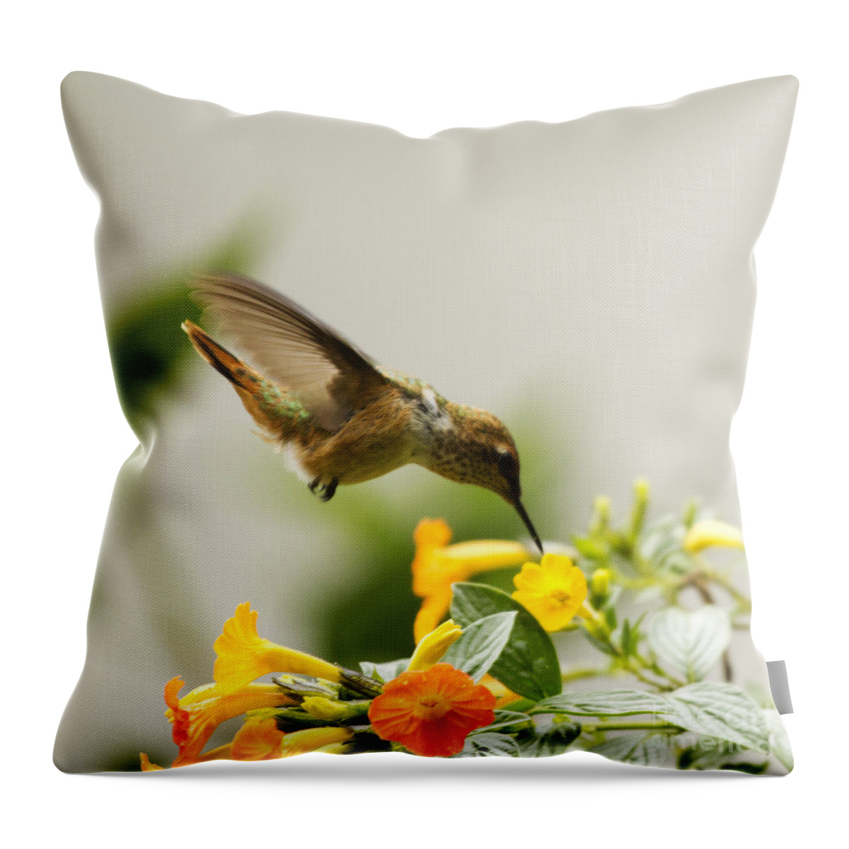 Hummingbird Throw Pillow featuring the photograph Hungry Flowerbird by Heiko Koehrer-Wagner