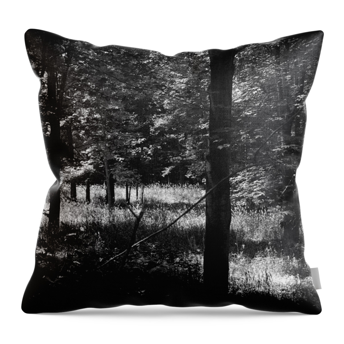 Woods Throw Pillow featuring the photograph Hunting... by Rhonda Barrett