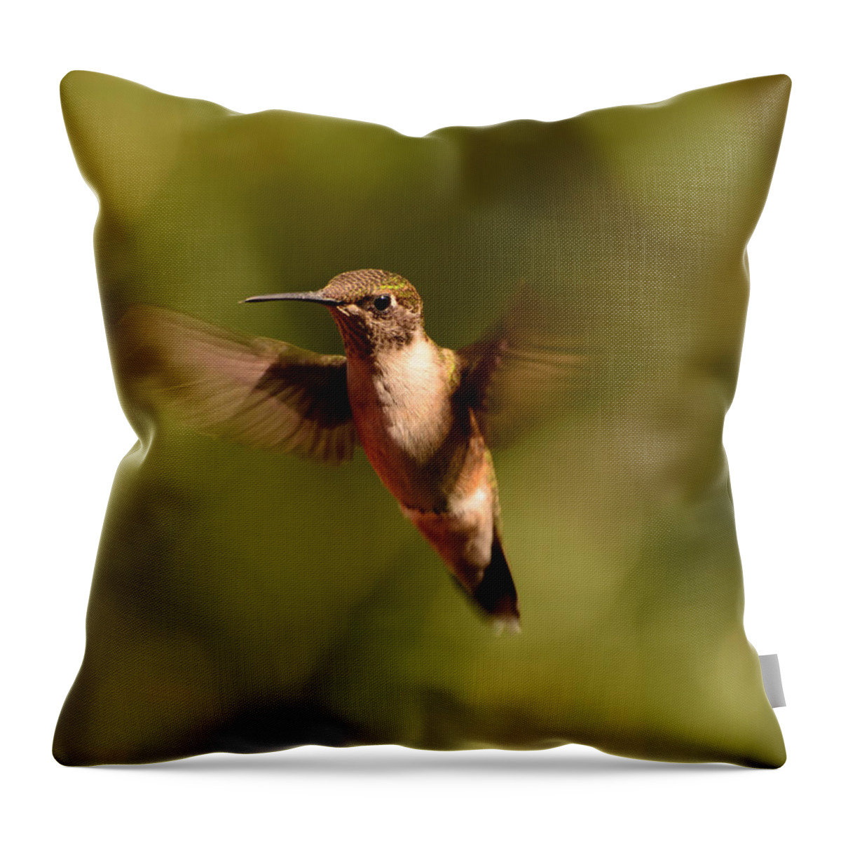 Hummingbird Throw Pillow featuring the photograph Hurry Up and Take My Picture by Lori Tambakis