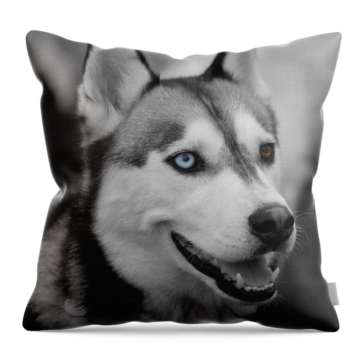 Husky Throw Pillow featuring the photograph Husky Portrait by Vicki Spindler