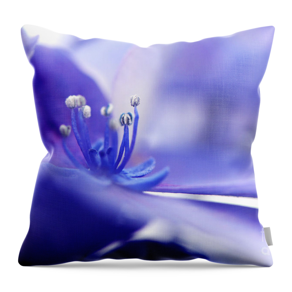 Hydrangea Throw Pillow featuring the photograph Hydrangea closeup by Sharon Talson