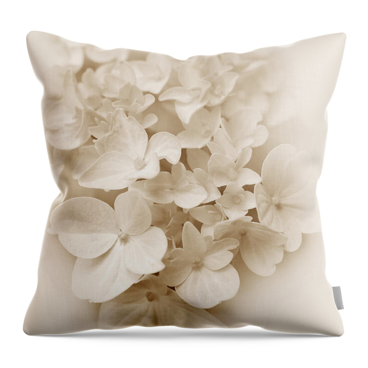 Hydrangea Throw Pillow featuring the photograph Hydrangea Flowers Sepia Delight by Jennie Marie Schell