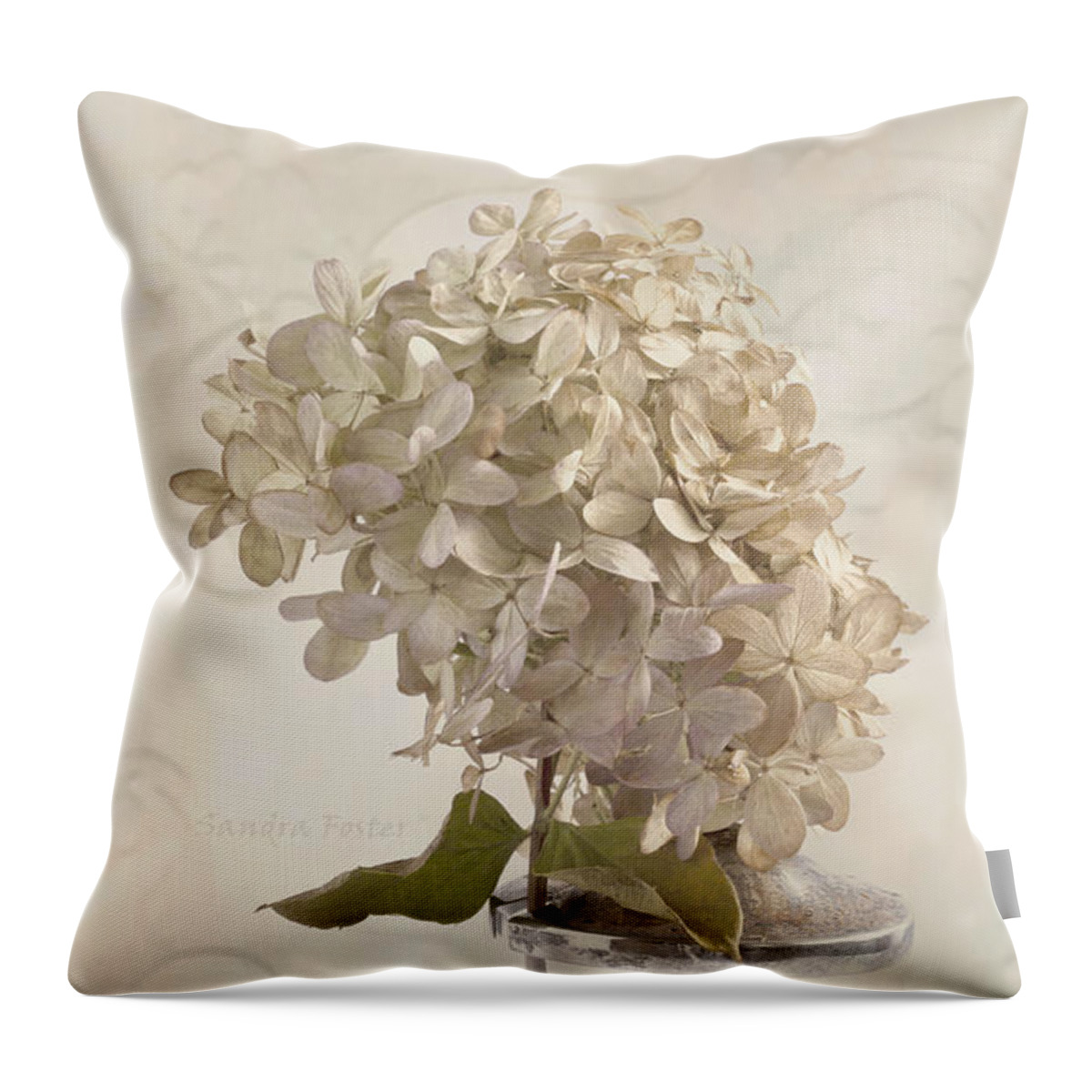 Hydrangea Throw Pillow featuring the photograph Hydrangea Softness by Sandra Foster
