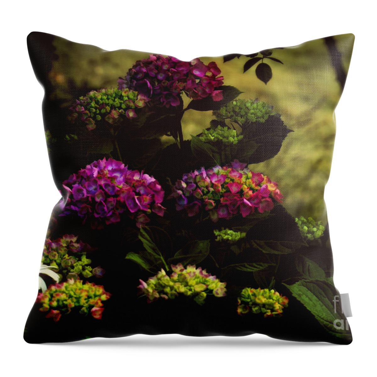 Flower Throw Pillow featuring the photograph Hydrangeas in the Shade by Elaine Manley