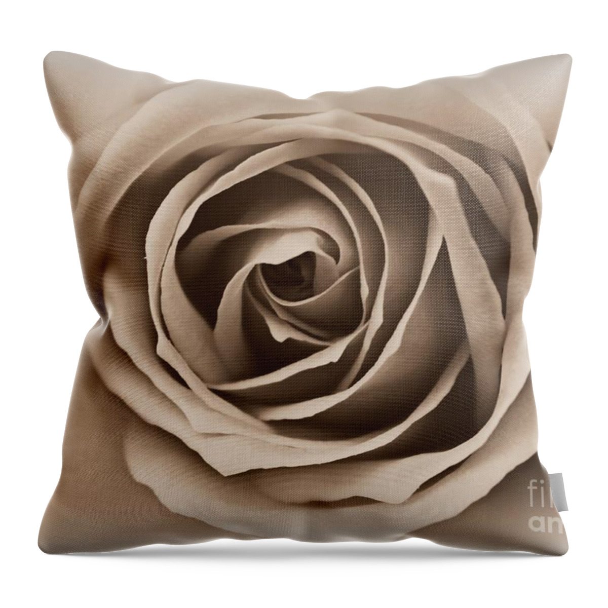 Rose Throw Pillow featuring the photograph I Am Beautiful by Clare Bevan