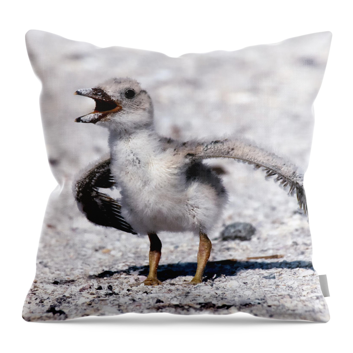 Crystal Yingling Throw Pillow featuring the photograph I am NOT a Baby by Ghostwinds Photography