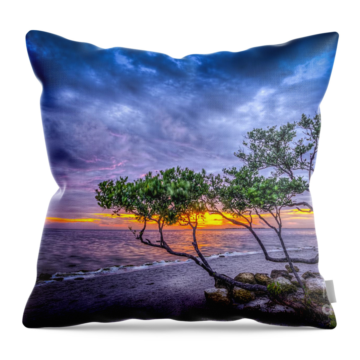 Clouds Throw Pillow featuring the photograph I Feel It by Marvin Spates