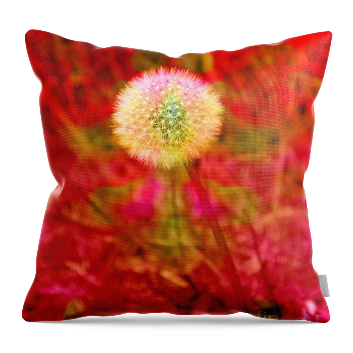 Andee Design Dandelion Art Throw Pillow featuring the photograph I Feel Pretty 1 by Andee Design