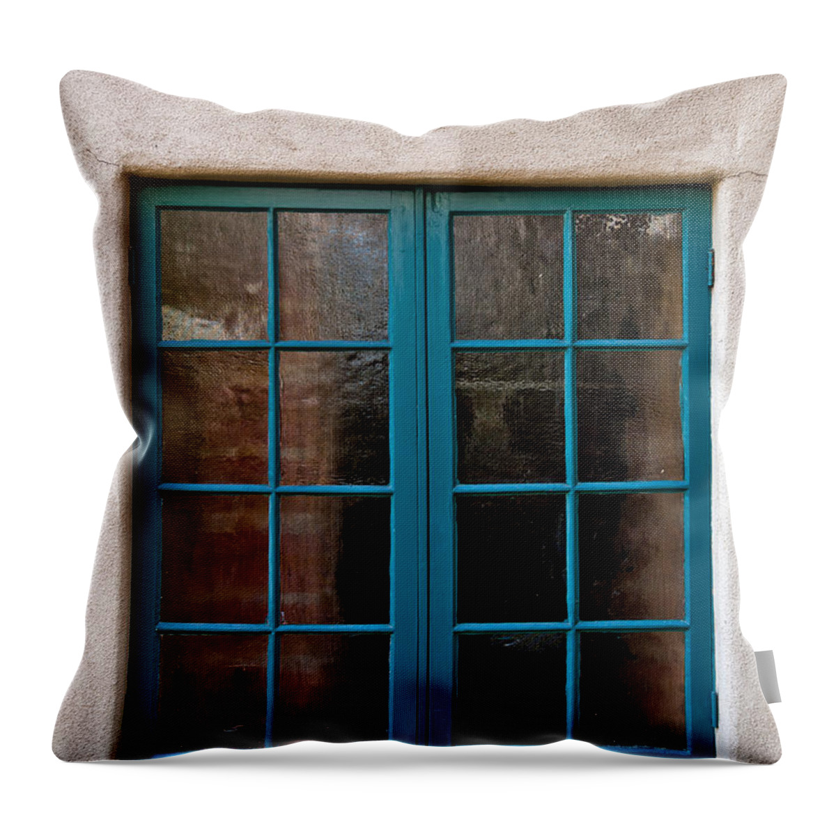 Architecture Throw Pillow featuring the photograph I Feel Your Pane by Peter Tellone