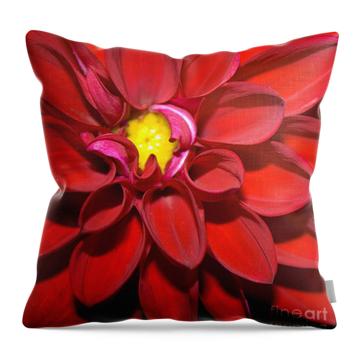 #nature Throw Pillow featuring the photograph Blossom by Jacquelinemari