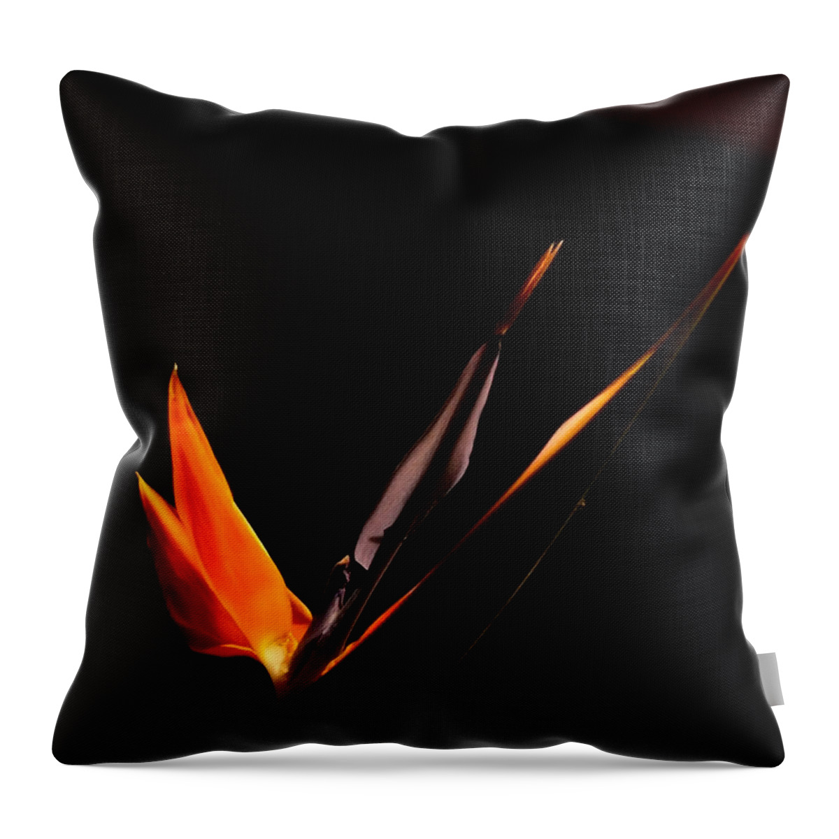 Bird Of Paradise Throw Pillow featuring the photograph I love you by Evelyn Tambour