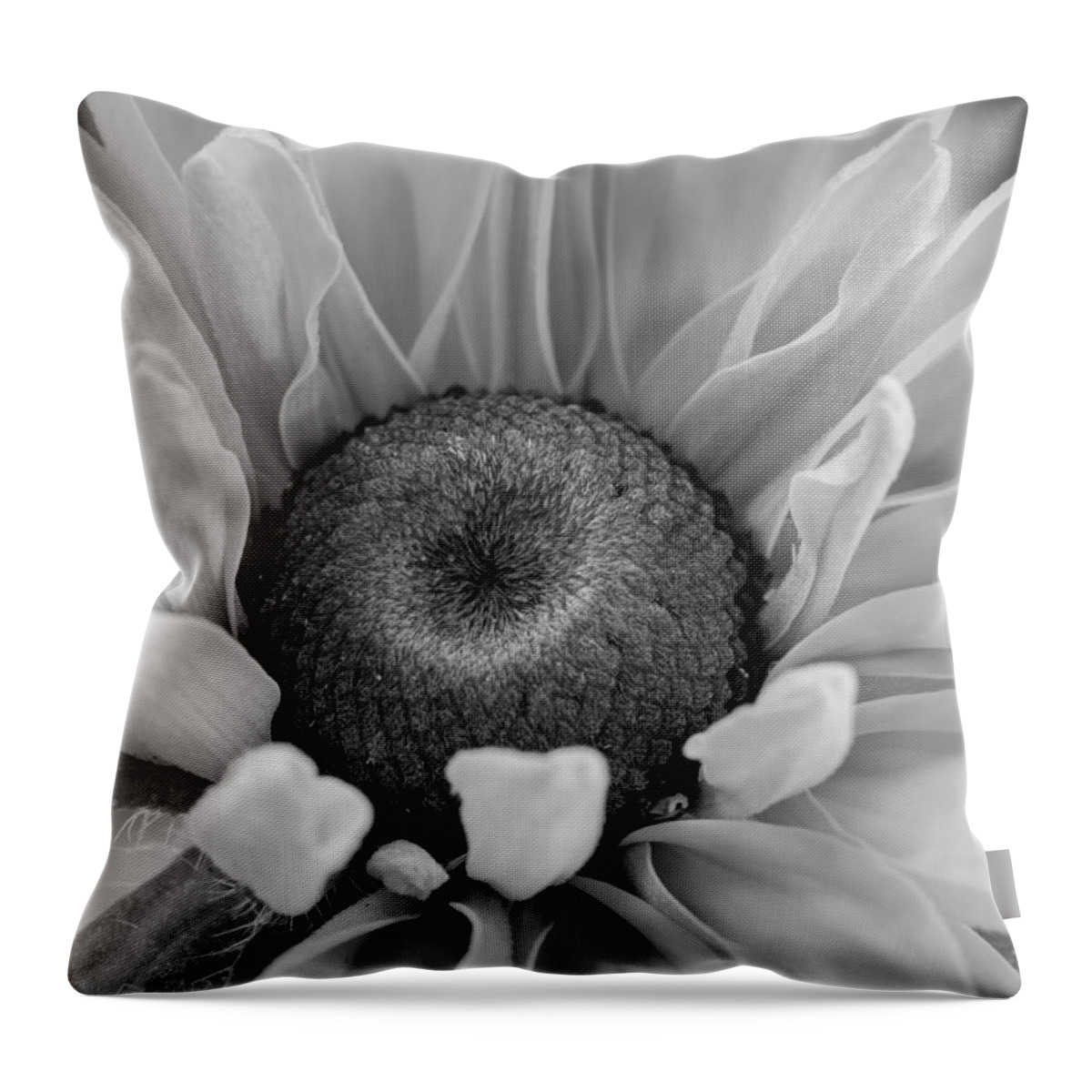Macro Throw Pillow featuring the photograph I Must Be Dreaming by Heidi Smith