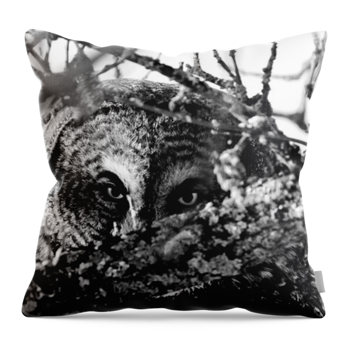 Great Grey Owl Throw Pillow featuring the photograph I see you by Lori Dobbs