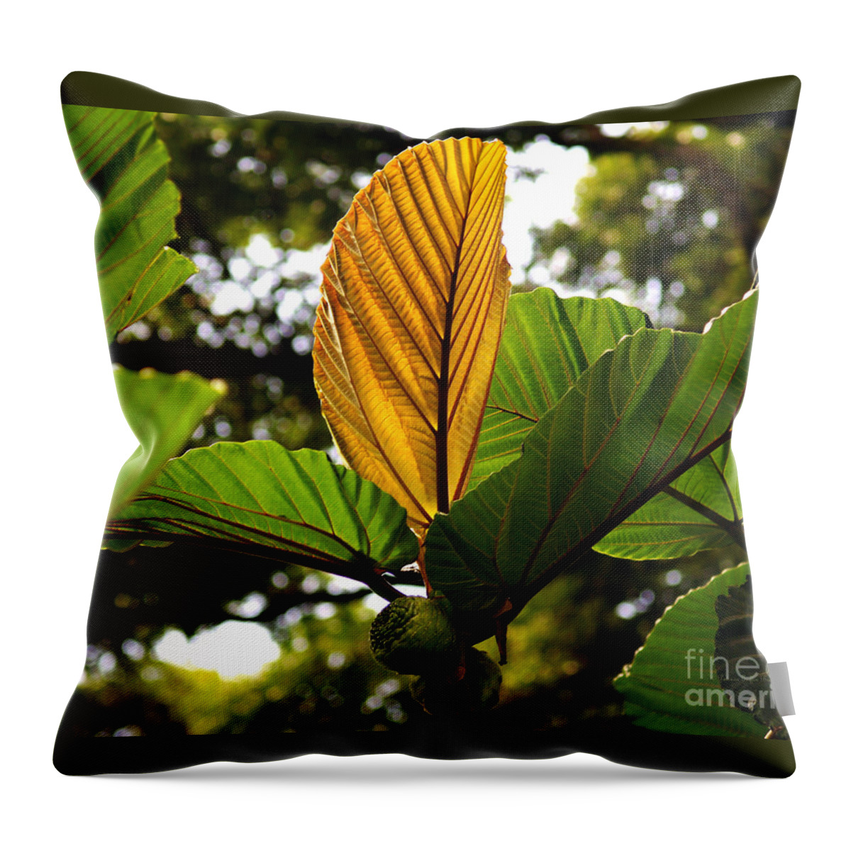 Fine Art Photography Throw Pillow featuring the photograph I Stand Alone by Patricia Griffin Brett