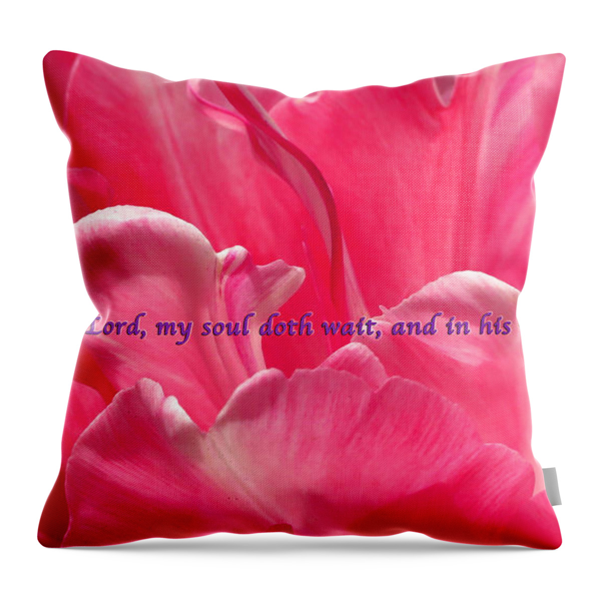 Scripture Art Throw Pillow featuring the photograph I Wait by Terry Wallace