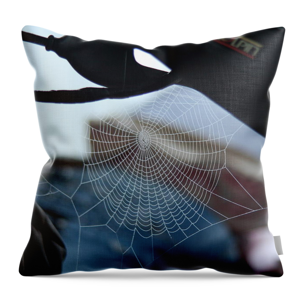 Spiderweb Throw Pillow featuring the photograph I wanna ride by David S Reynolds