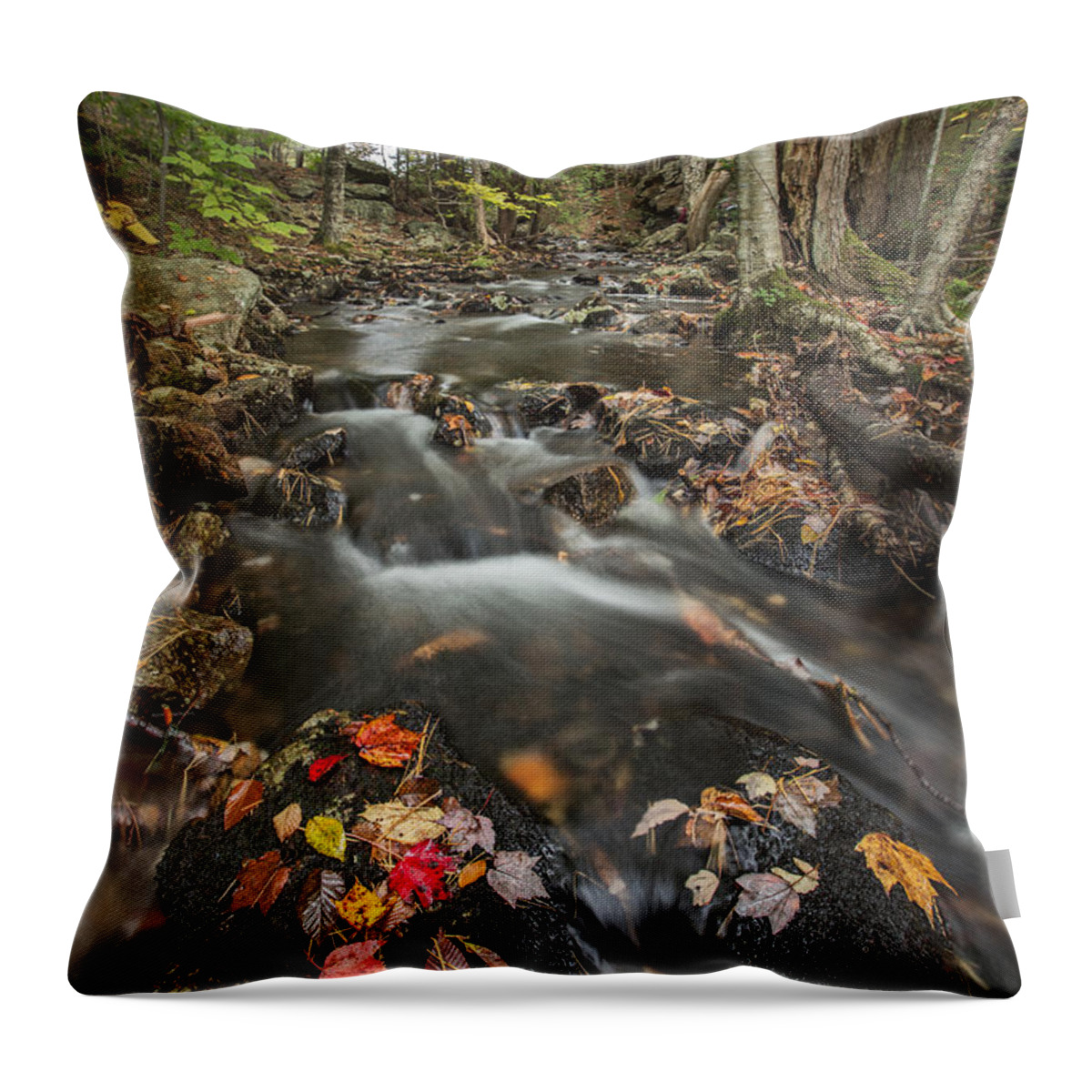 Maine Throw Pillow featuring the photograph I Want More by Jon Glaser