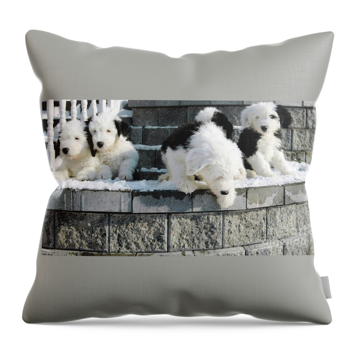 #pixelslovesdogs Old Throw Pillow featuring the photograph I Want To Jump by Kathleen Struckle