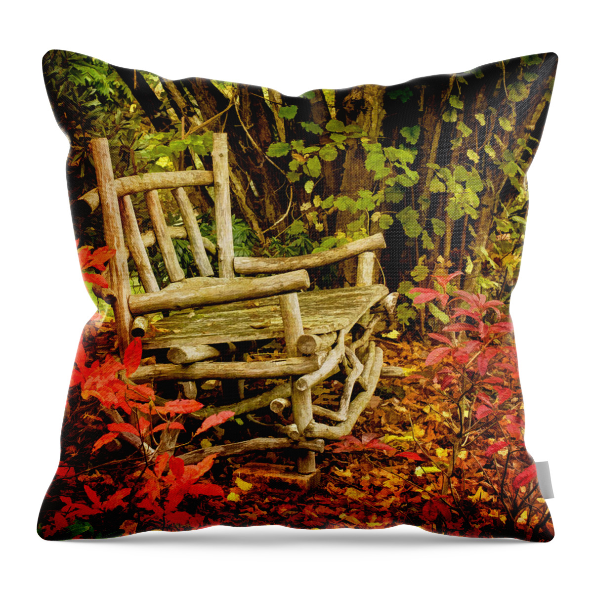 I Will Remember You Throw Pillow featuring the photograph I Will Remember You by Jordan Blackstone