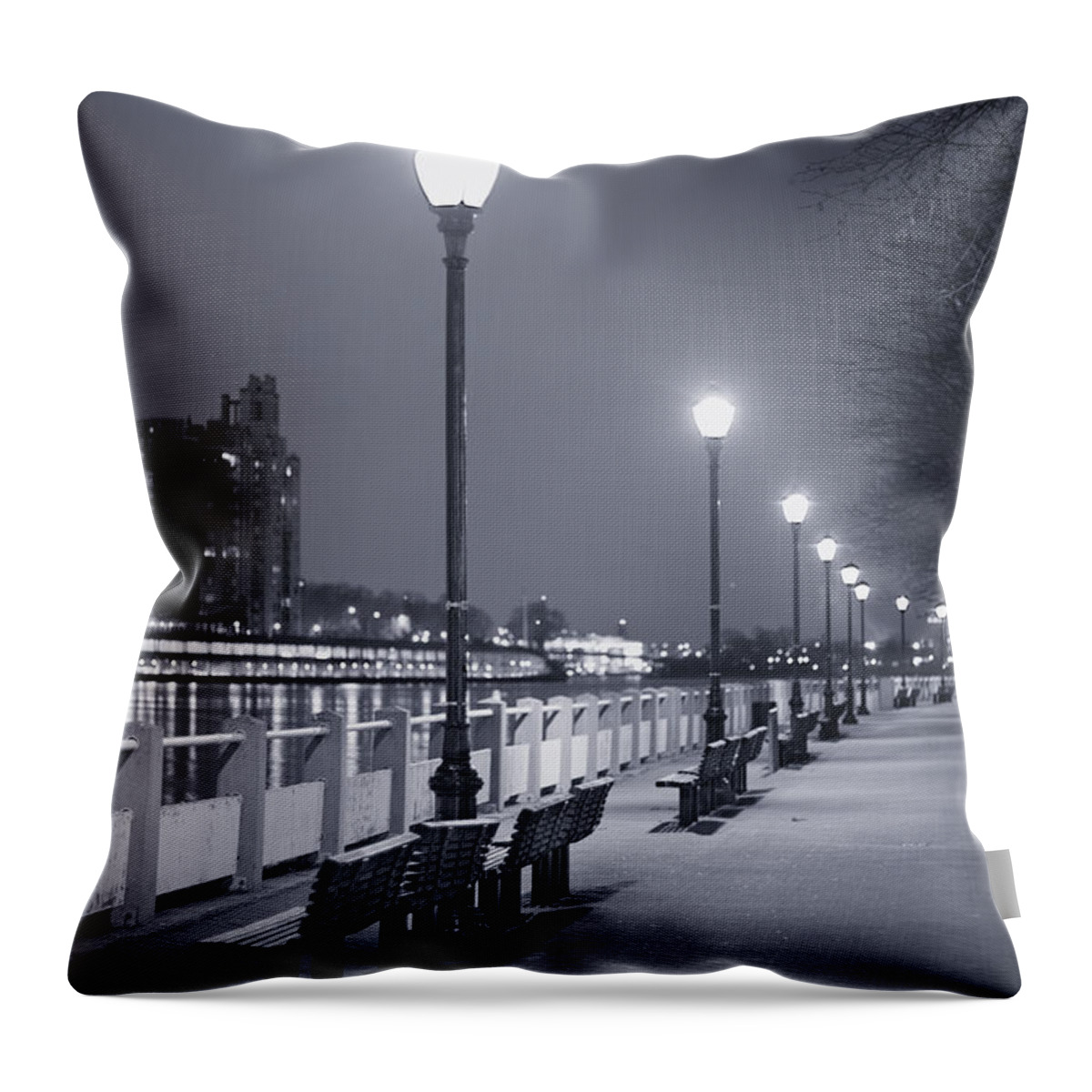 Roosevelt Island Throw Pillow featuring the photograph I Wonder As I Wander by Evelina Kremsdorf