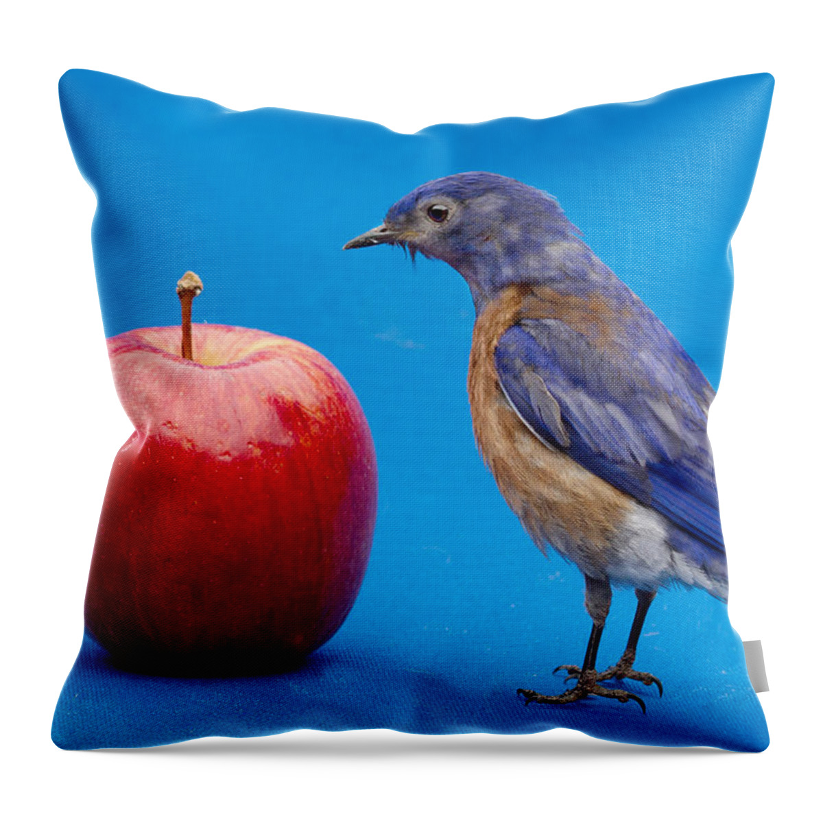  Humor Throw Pillow featuring the photograph I would rather see the doctor by Jean Noren