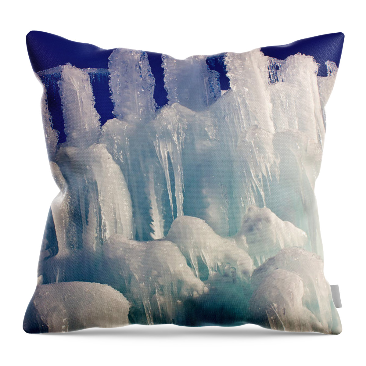 2013 Throw Pillow featuring the photograph Ice Abstract 1 by Christie Kowalski