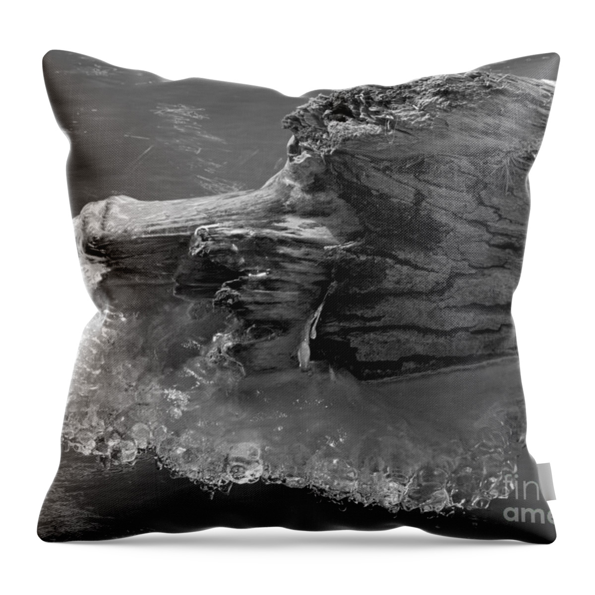 Ice Throw Pillow featuring the photograph Ice among the floating tree by Darleen Stry