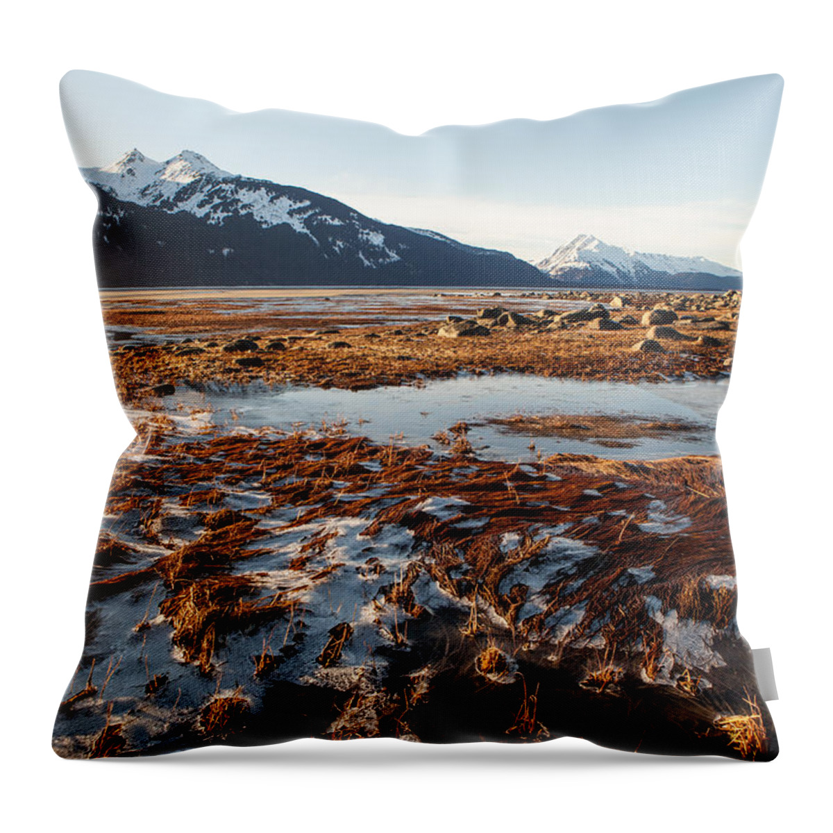 Chilkat Inlet Throw Pillow featuring the photograph Ice and Sun by Michele Cornelius
