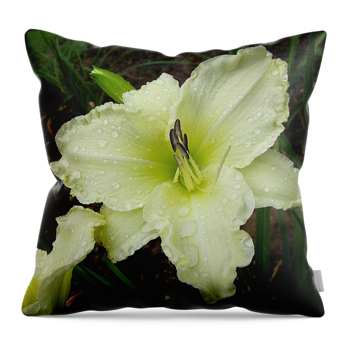 Daylily Throw Pillow featuring the photograph Ice Carnival Daylily by MTBobbins Photography