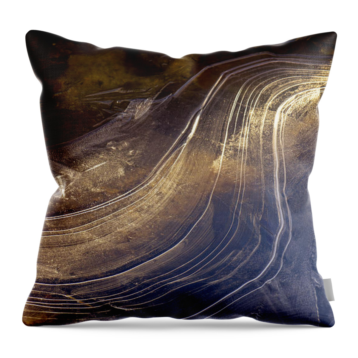 Ice Throw Pillow featuring the photograph Ice Curve by Joy McAdams