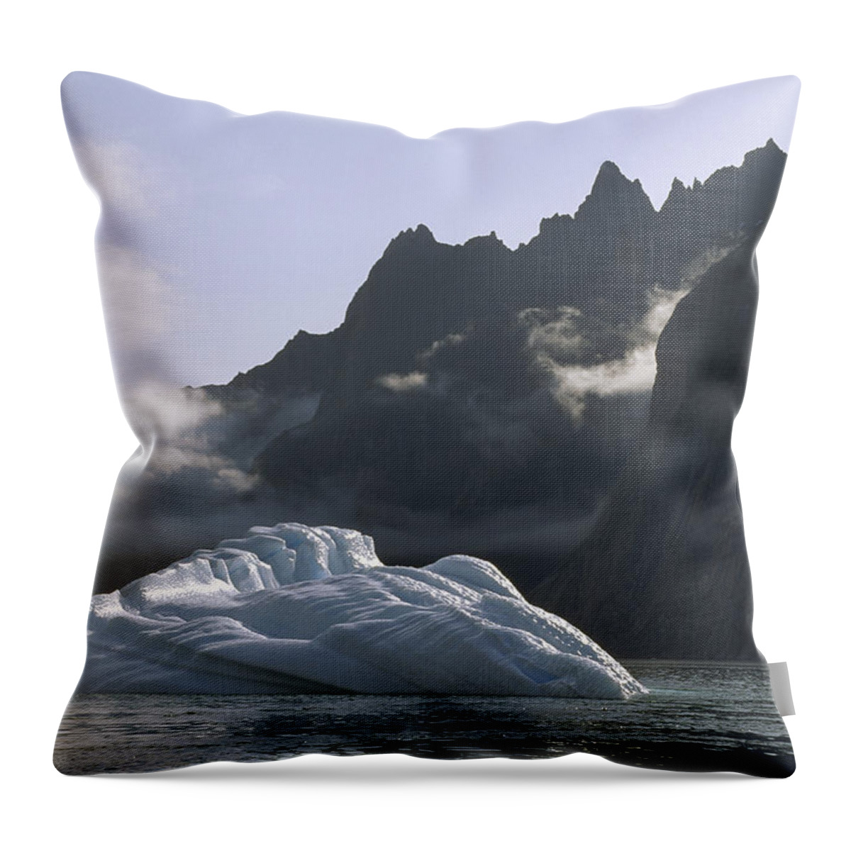 Feb0514 Throw Pillow featuring the photograph Ice Floe In Southern Greenland Fjord by Tui De Roy