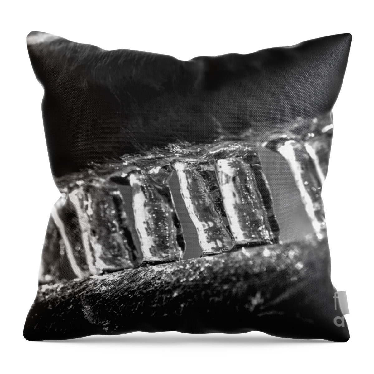 Ice Throw Pillow featuring the photograph Ice by JT Lewis