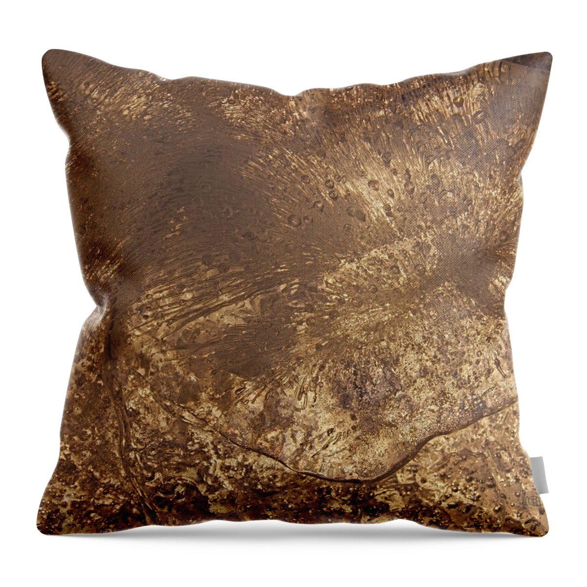 Ice Leaf Throw Pillow featuring the photograph Ice Leaf by Sami Tiainen