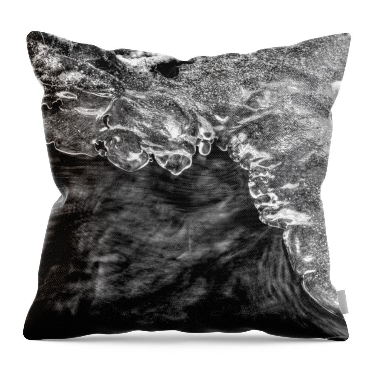 Ice Throw Pillow featuring the photograph Ice On Creek in Black and White by Greg and Chrystal Mimbs