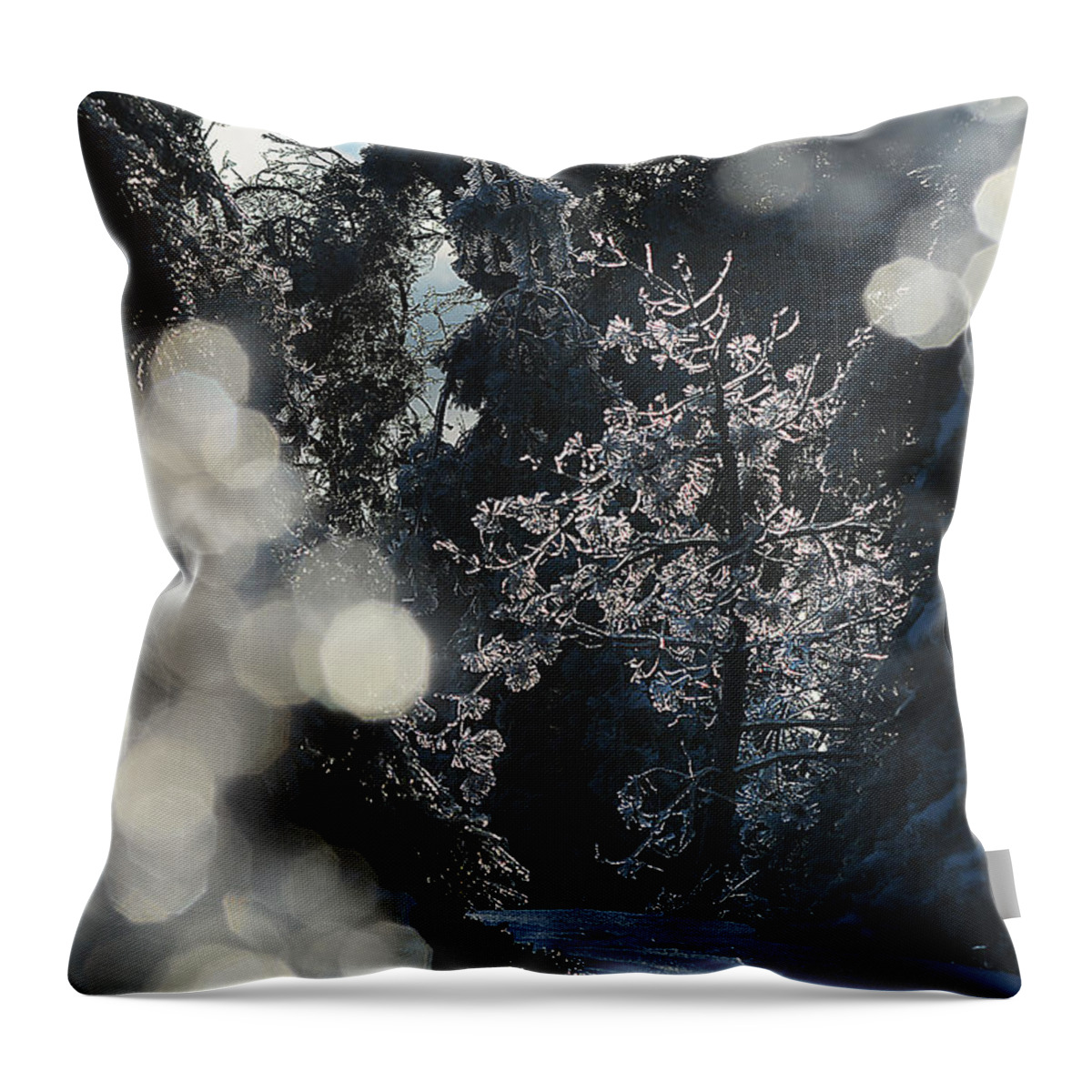 Ice Throw Pillow featuring the photograph Ice tree-5074 by Steve Somerville
