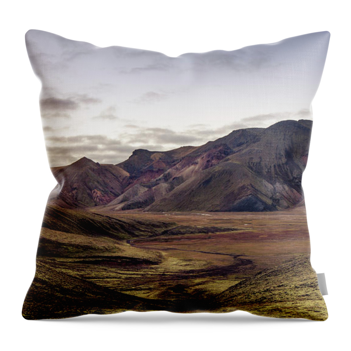 Scenics Throw Pillow featuring the photograph Iceland Landmannalaugar Autumn Colors by Spreephoto.de