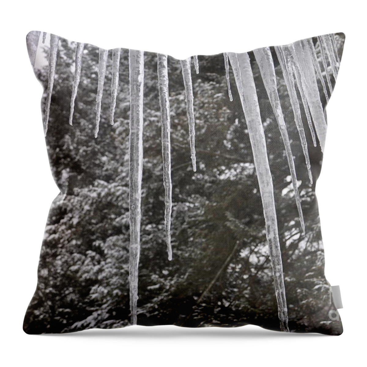 Winter Throw Pillow featuring the photograph Icicle Dreams by Cornelia DeDona