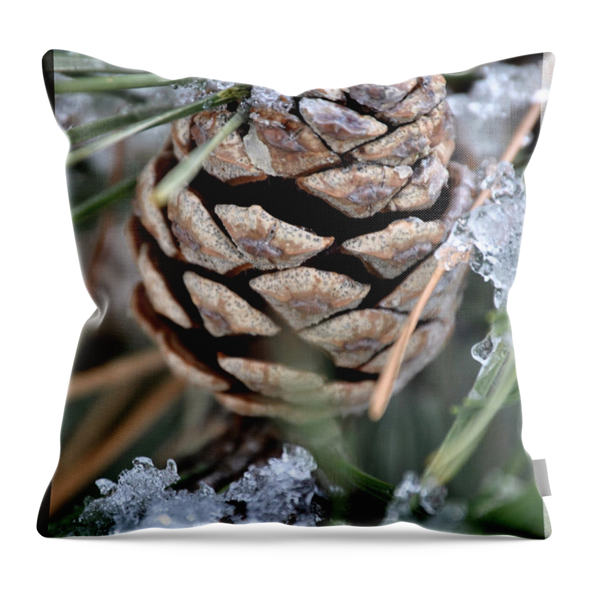Snow Throw Pillow featuring the photograph Icy Acorns by Michael Frank Jr