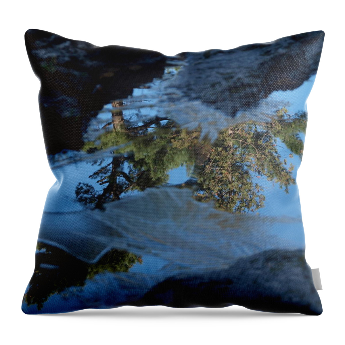 Jim Throw Pillow featuring the photograph Icy Evergreen Reflection by James Peterson