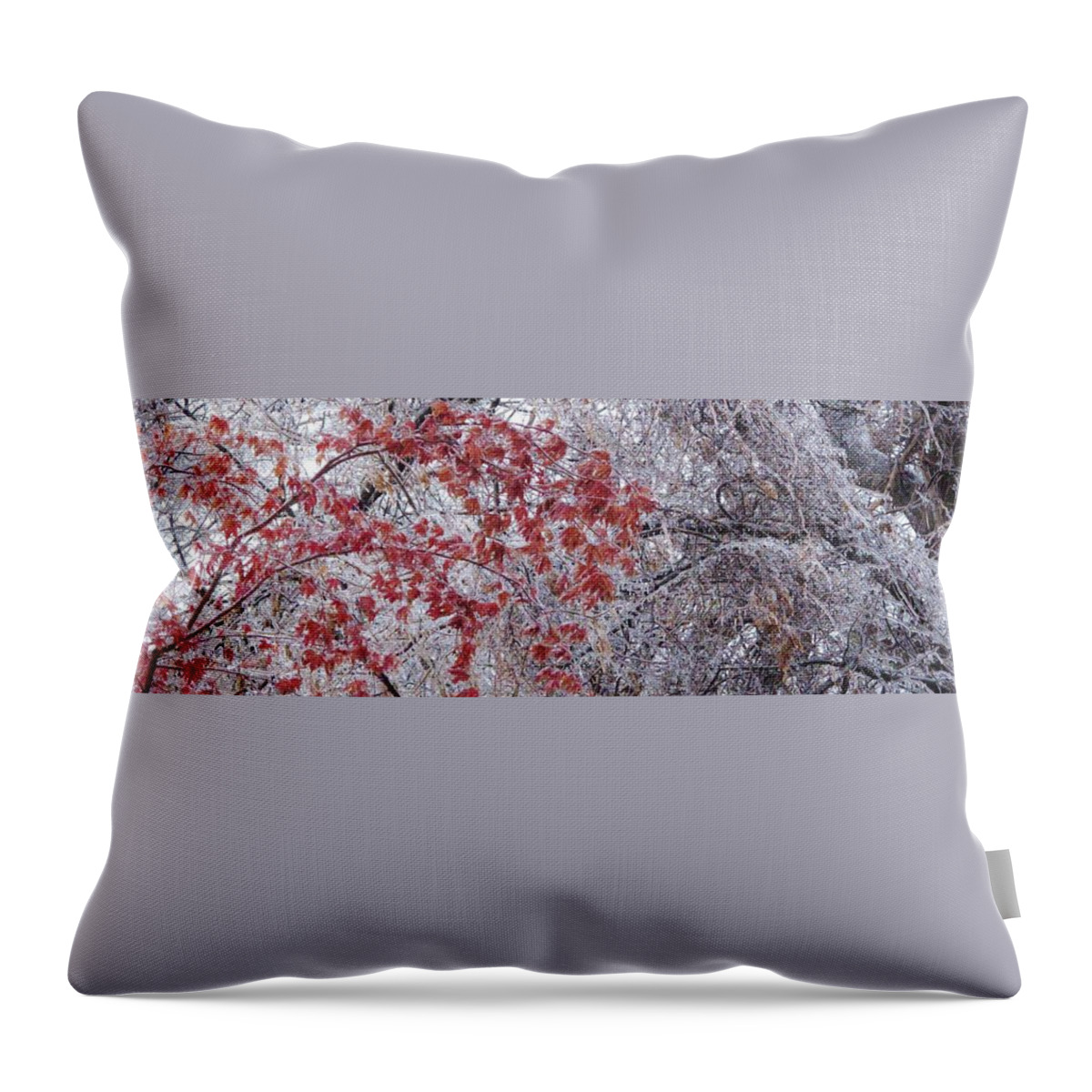 Maple Throw Pillow featuring the photograph Icy Red by Ian MacDonald
