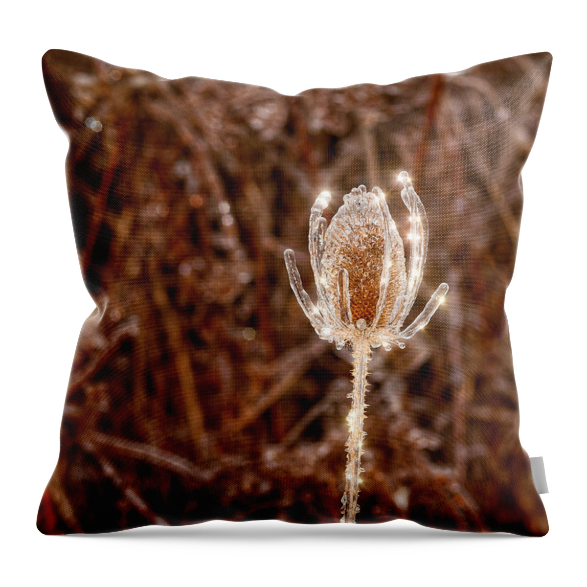 Thistle Throw Pillow featuring the photograph Icy Thistle by Les Palenik