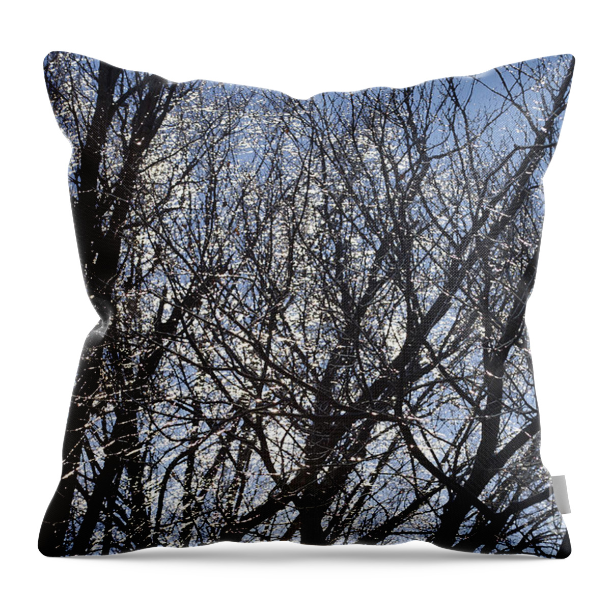 Icy Trees Throw Pillow featuring the photograph Icy Trees by Luther Fine Art