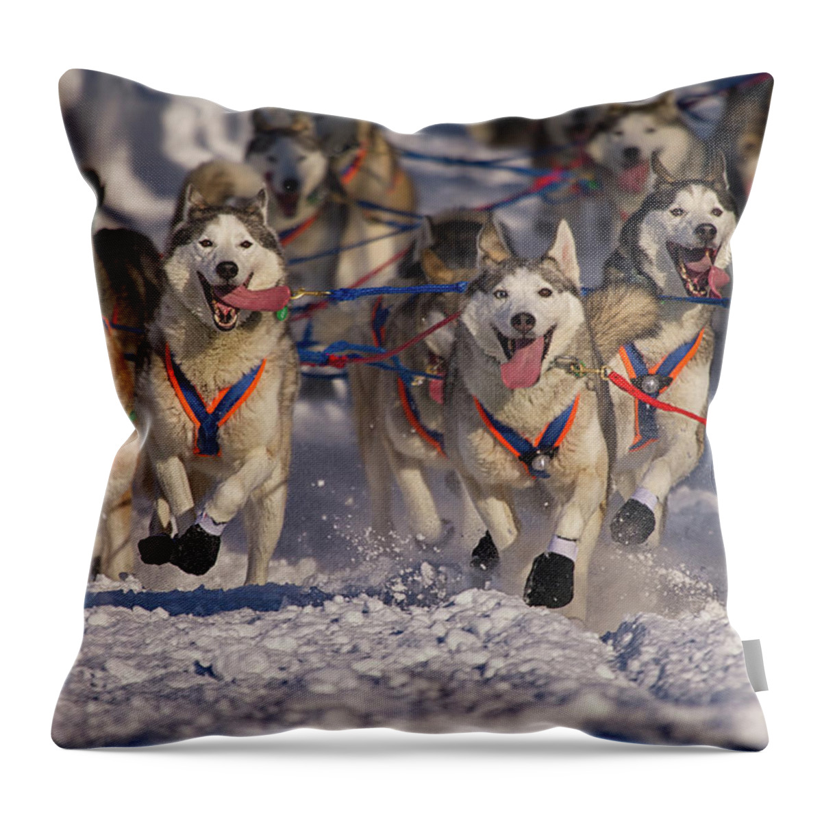 Snow Throw Pillow featuring the photograph Iditarod Huskies by Alaska Photography