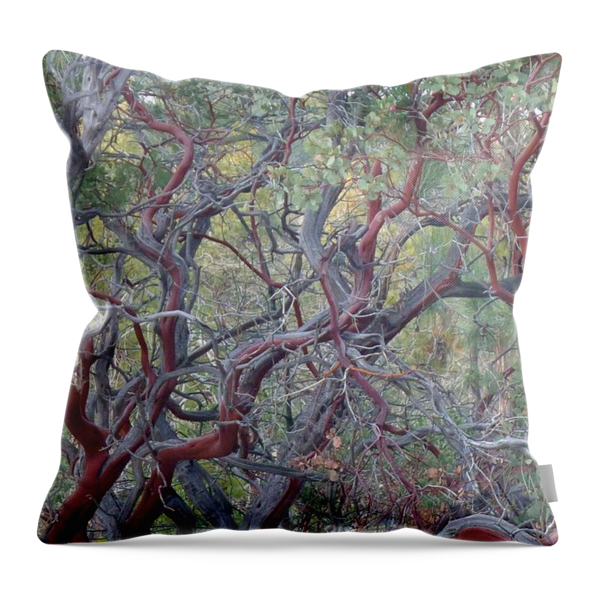  Throw Pillow featuring the photograph Idyllwild Red Tree by Nora Boghossian