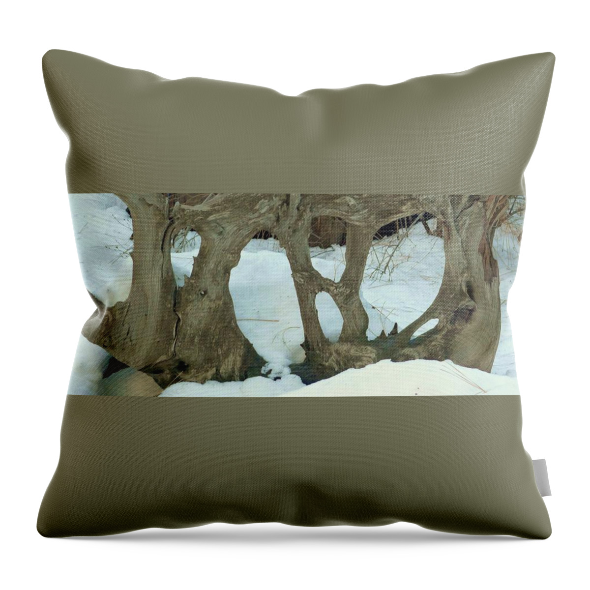 Idyllwild Throw Pillow featuring the photograph Idyllwild Tree Sculpture by Nora Boghossian