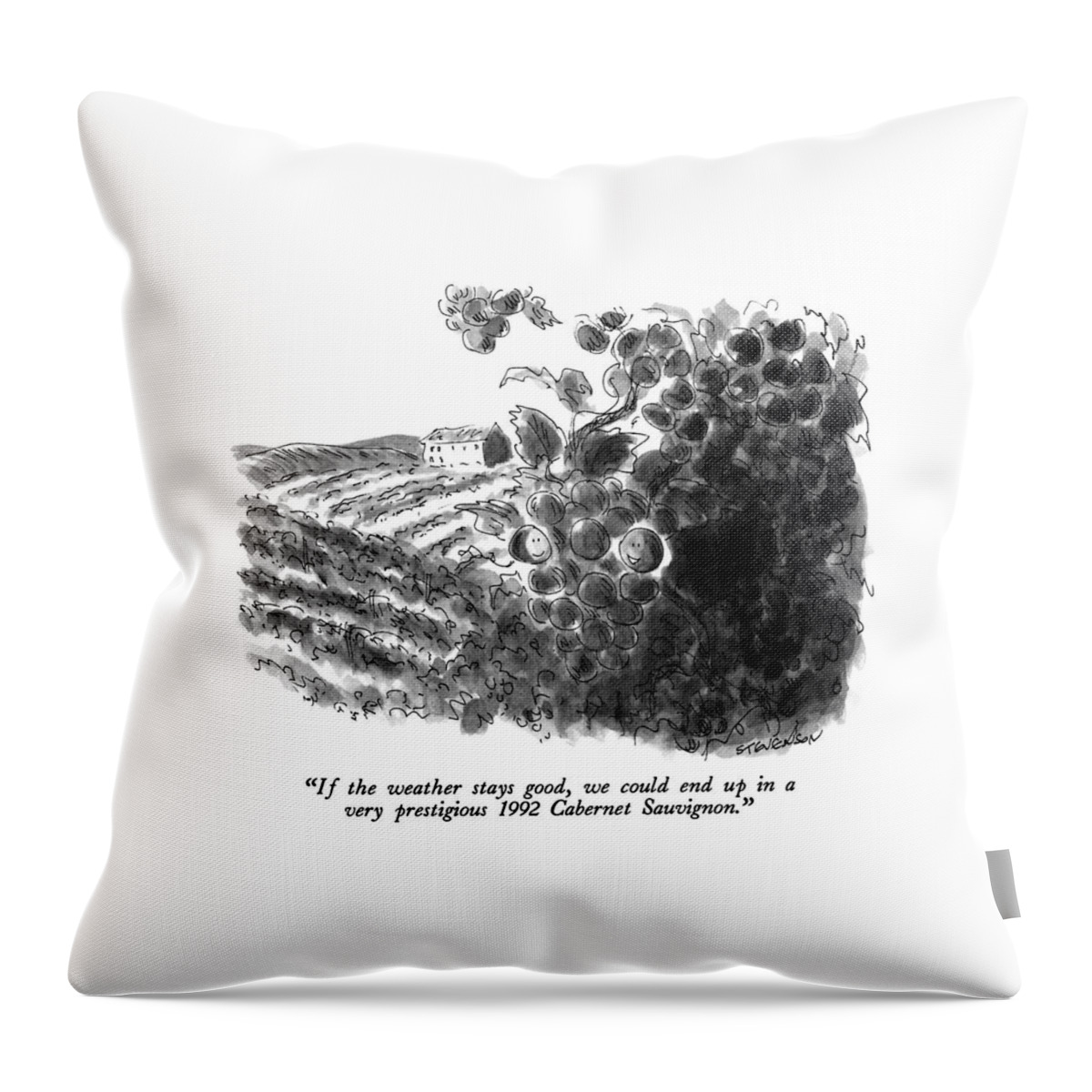 If The Weather Stays Good Throw Pillow