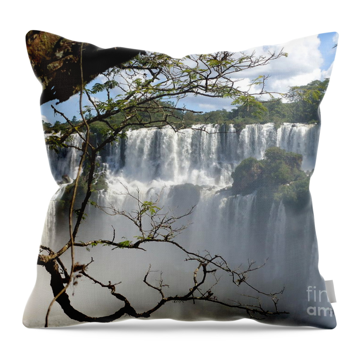 Falls Throw Pillow featuring the painting Iguazu Falls II by Helena Wierzbicki